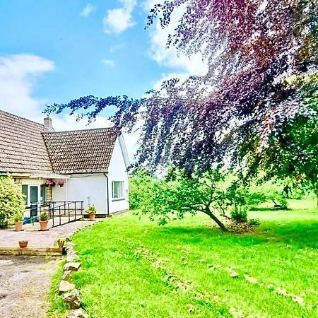 Three Bedroom Rural, Relaxing And Peaceful,Dogs Welcome! With Cymru Holidays Абъргавени Екстериор снимка